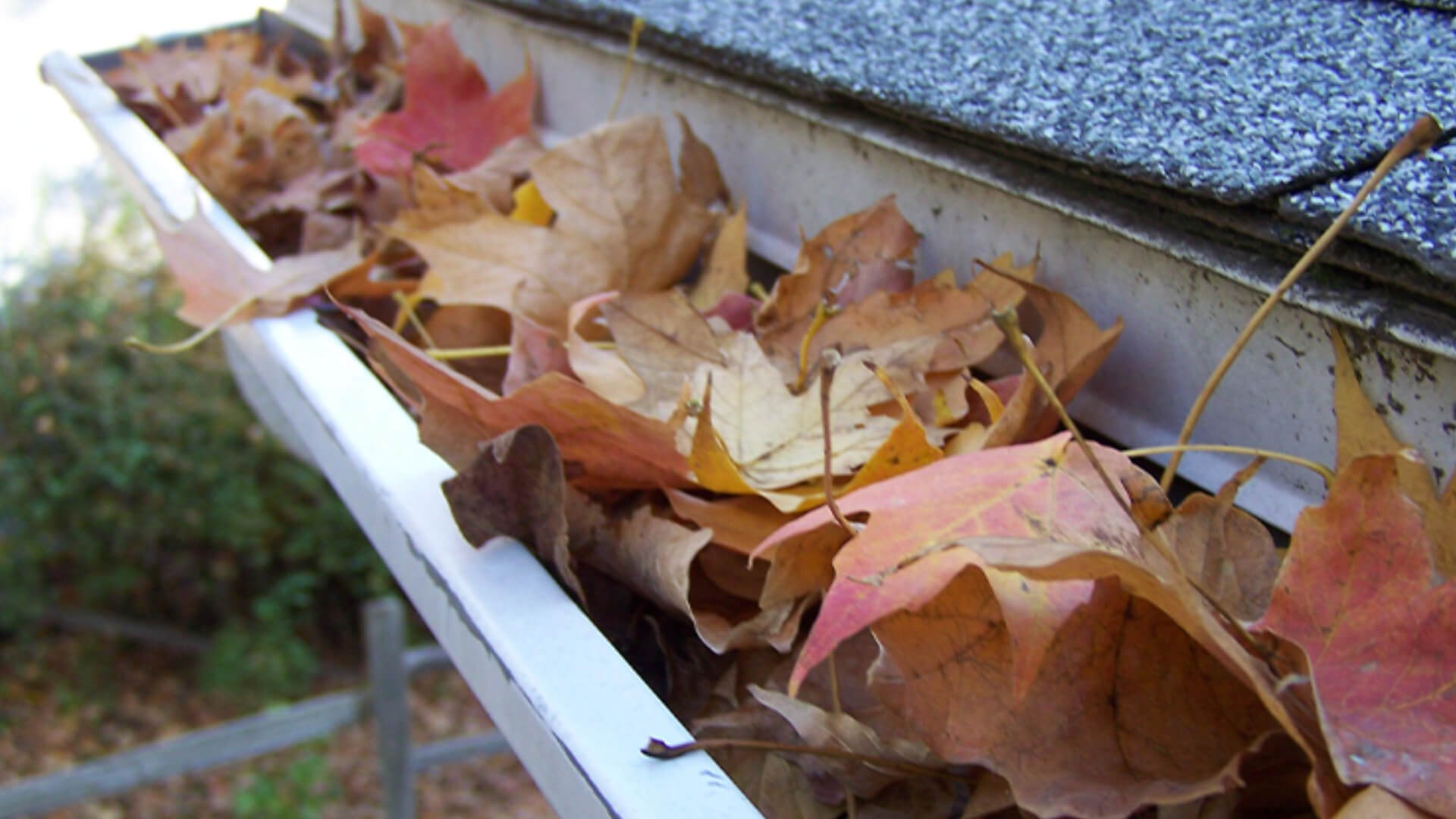 Laat uw Dakgoten leeghalen door Kuijt Reiniging